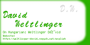 david weltlinger business card